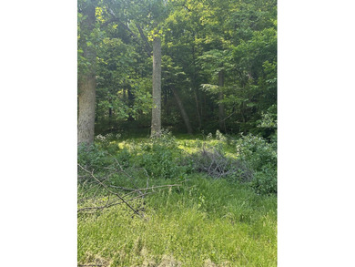 Bring your vision to this spacious 4-bedroom, 2-bath - photo 31