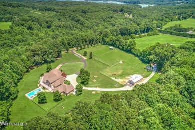 Lake Home For Sale in Andersonville, Tennessee