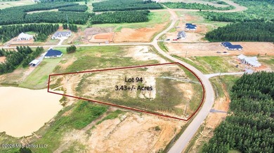 Escape to peaceful country living with this beautiful 3.43 acre - photo 4