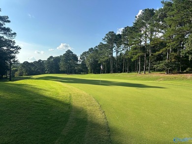 Golf course lot perfectly positioned along the 12th fairway of - photo 14