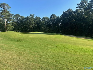 Golf course lot perfectly positioned along the 12th fairway of - photo 15