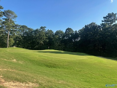 Golf course lot perfectly positioned along the 12th fairway of - photo 16