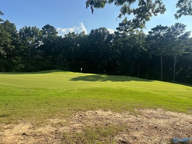 Golf course lot perfectly positioned along the 12th fairway of - photo 17