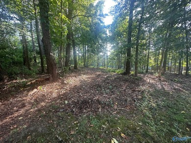 Golf course lot perfectly positioned along the 12th fairway of - photo 18