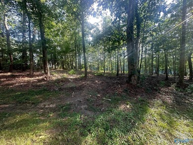 Golf course lot perfectly positioned along the 12th fairway of - photo 19