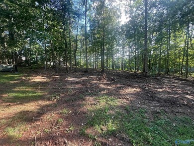 Golf course lot perfectly positioned along the 12th fairway of - photo 20