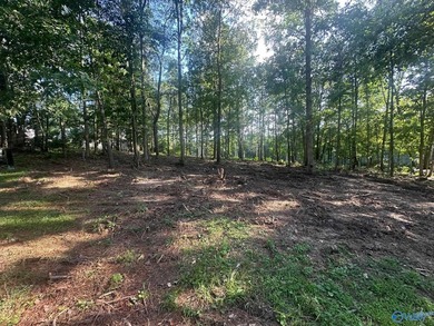 Golf course lot perfectly positioned along the 12th fairway of - photo 21