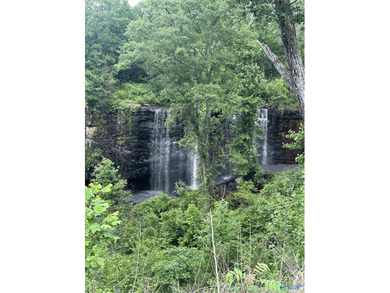 Golf course lot perfectly positioned along the 12th fairway of - photo 26