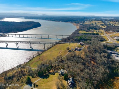 Incredible commercial potential. This home sits atop a - photo 57