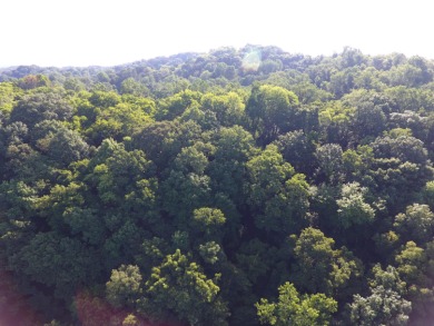 Fort Loudoun Lake Lot For Sale in Louisville Tennessee