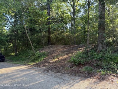 Located in the desirable Snow Lake Shores community, this 0 - photo 1