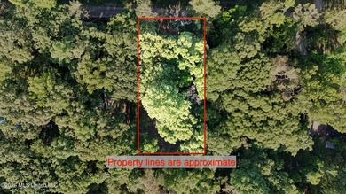 Located in the desirable Snow Lake Shores community, this 0 - photo 2