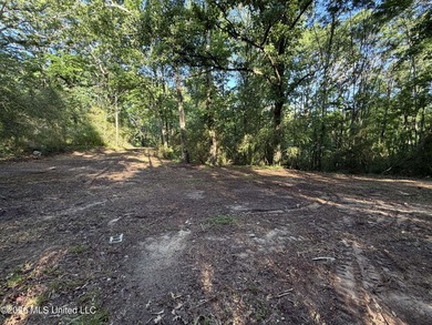 Located in the desirable Snow Lake Shores community, this 0 - photo 5