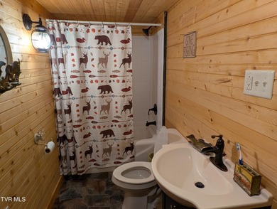 Welcome to 10696 Horton Ford Road, a true East Tennessee retreat - photo 15