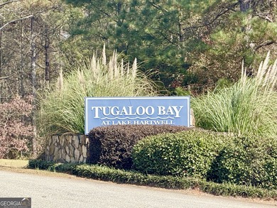 Lake Lot For Sale in Lavonia, Georgia