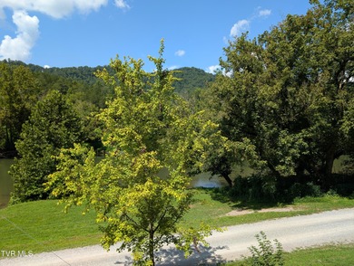 Welcome to 10696 Horton Ford Road, a true East Tennessee retreat - photo 27