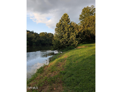 Welcome to 10696 Horton Ford Road, a true East Tennessee retreat - photo 40
