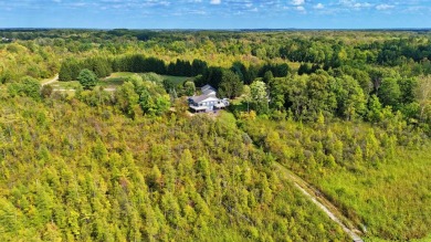 Lake Home For Sale in Pierson, Michigan