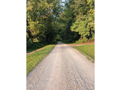 Welcome to 10696 Horton Ford Road, a true East Tennessee retreat - photo 41