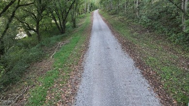Welcome to 10696 Horton Ford Road, a true East Tennessee retreat - photo 45