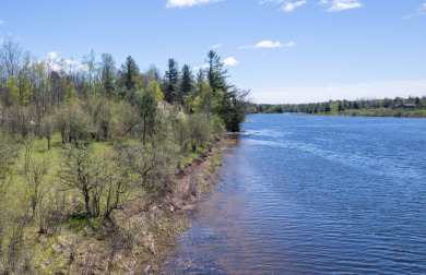 Large Waterfront Parcel on the Upper Black River - photo 4