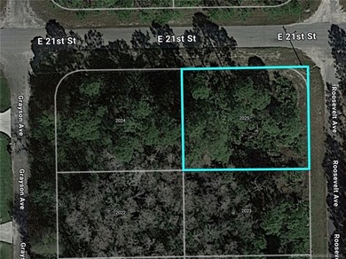 Lehigh Acres Area Lot For Sale in Alva Florida