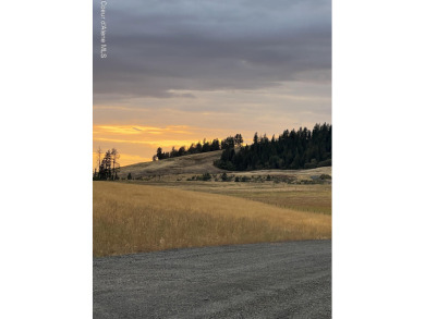 Coeur d Alene Lake Acreage For Sale in Worley Idaho