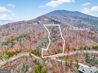 Beautiful lot with an available house plan and building location - photo 2
