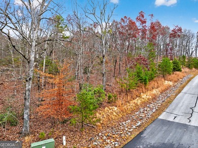 Beautiful lot with an available house plan and building location - photo 8