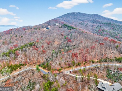 Beautiful lot with an available house plan and building location - photo 9