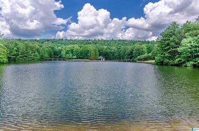 (private lake, pond, coastal) Acreage For Sale in Birmingham Alabama