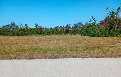 Take advantage of this rare opportunity to own land on a canal - photo 1