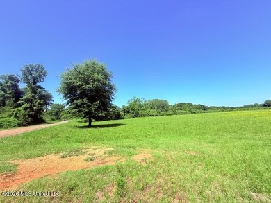 20.63 Acres located on Union Creek Road in Magnolia, MS with - photo 3
