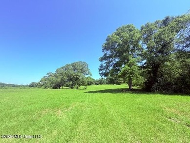 20.63 Acres located on Union Creek Road in Magnolia, MS with - photo 4