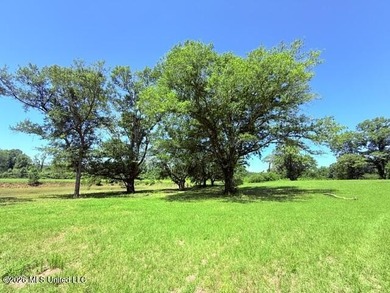 20.63 Acres located on Union Creek Road in Magnolia, MS with - photo 9