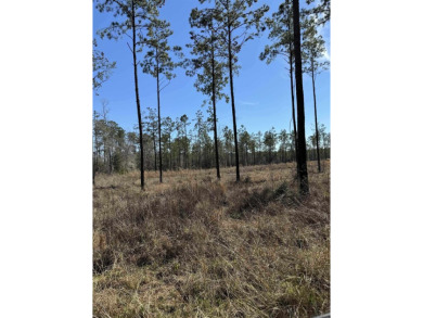 Lake Sam Rayburn  Lot For Sale in Brookeland Texas