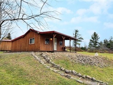 Lake Home For Sale in Marathon, New York