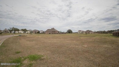 Located in the desirable Goose Pointe Subdivision. Build your - photo 1