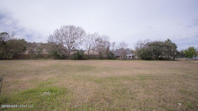 Located in the desirable Goose Pointe Subdivision. Build your - photo 2