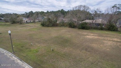 Located in the desirable Goose Pointe Subdivision. Build your - photo 6