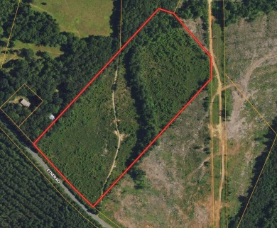 (private lake, pond, creek) Lot For Sale in Star North Carolina