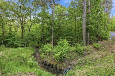 2 acres. Lake views. Ready for your vision. Build your dream - photo 11