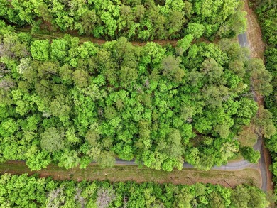 2 acres. Lake views. Ready for your vision. Build your dream - photo 12