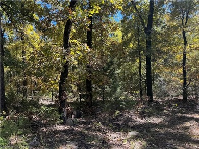 22 Acres +/- - Looking for a peaceful place to build your dream - photo 12