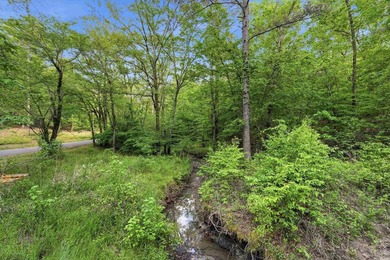 2 acres. Lake views. Ready for your vision. Build your dream - photo 13