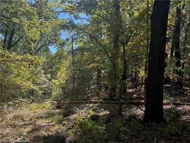 22 Acres +/- - Looking for a peaceful place to build your dream - photo 13