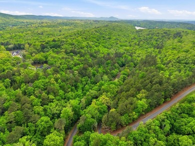 2 acres. Lake views. Ready for your vision. Build your dream - photo 14