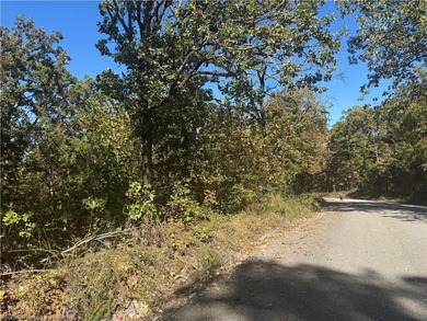 22 Acres +/- - Looking for a peaceful place to build your dream - photo 14