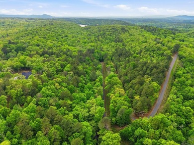2 acres. Lake views. Ready for your vision. Build your dream - photo 16
