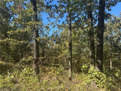 22 Acres +/- - Looking for a peaceful place to build your dream - photo 16